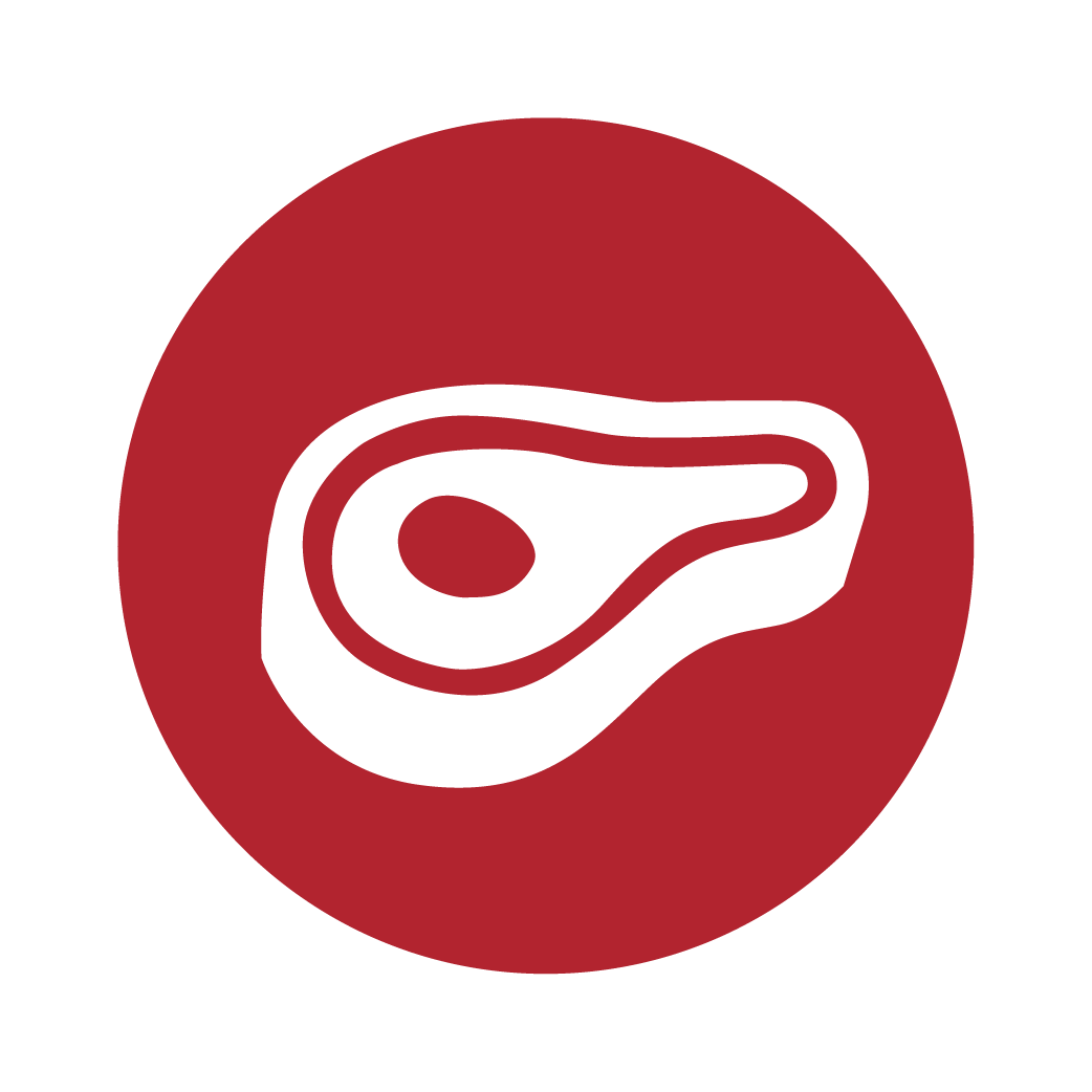 ICNONOS IV_Mesa de trabajo 1