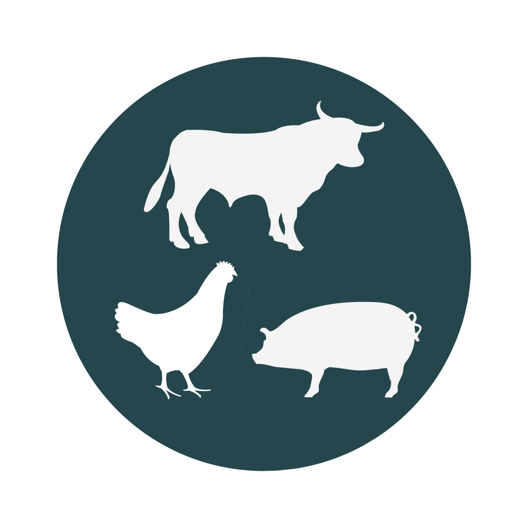 ICONOS II_Mesa de trabajo 1